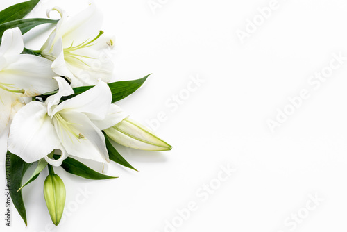 Branch of white lilies flowers. Mourning or funeral background