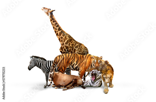Fotografiet Wild Zoo Animals on transparent background