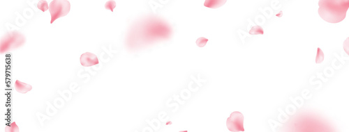 Sakura petal spring blossom on white banner. Flower flying background. Beauty Spa product frame. Pink rose composition. Valentine romantic card. Light delicate pastel design. Vector illustration