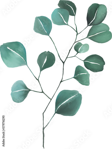 Watercolor gouache wild field botabical leaf foliage arrangement ornament hand drawn illustration