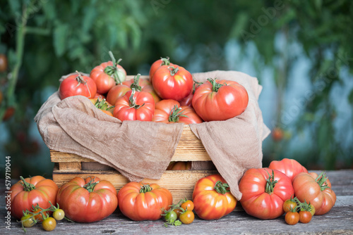 Vegetables, Tomatoes, on desk in garden