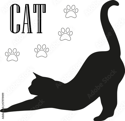 silhouette of the black cat on white with paws