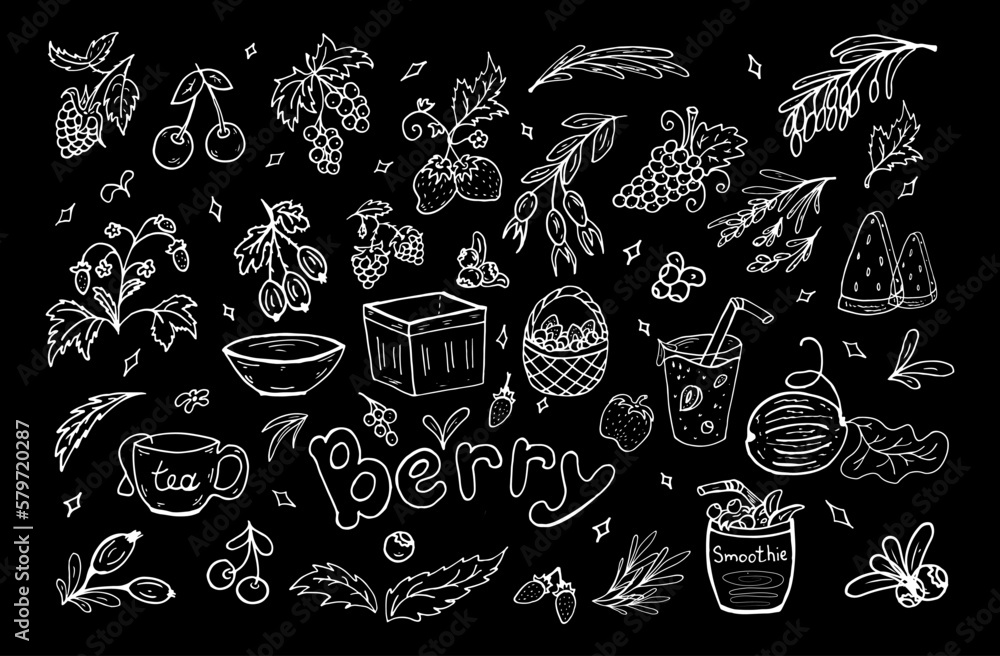 Set white berries doodle. Vector illustration. Berries, leaves, baskets, smoothies, healthy food.