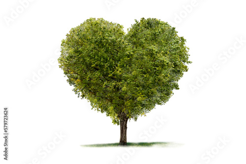 Grüner Baum in Herzform isoliert
