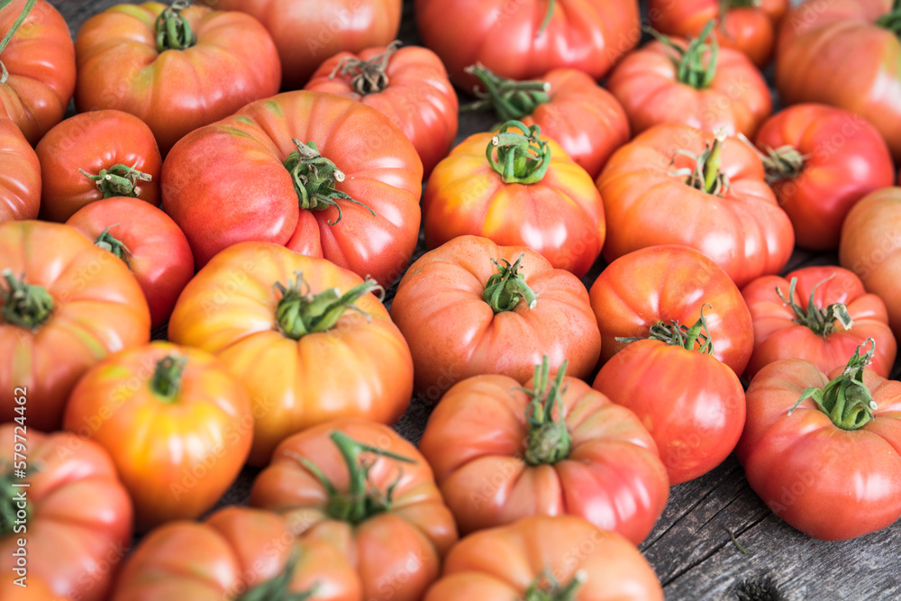 Organic food, Free red vegetables of tomato Organic food, Free red vegetables of tomato