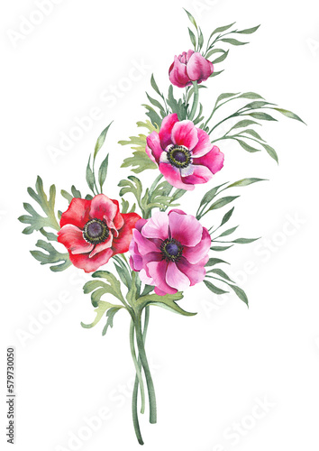 Colorful anemone flowers and delicate branches bouquet. Illustration isolated on white background.