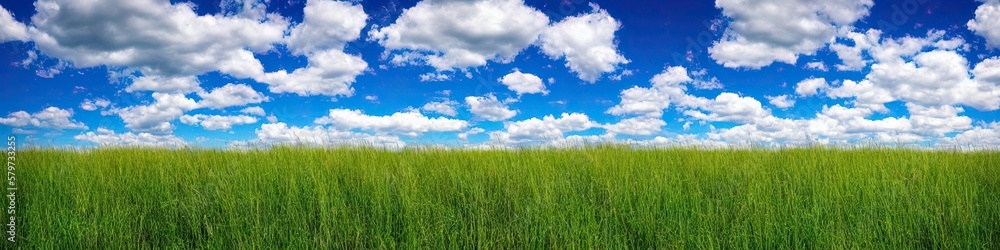 Green grassy field and blue skies with puffy white clouds. Panoramic landscape Green grassy field and blue skies with puffy white clouds. Panoramic landscape