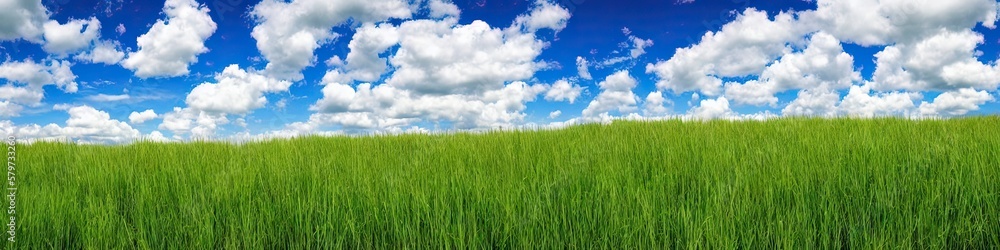 Green grassy field and blue skies with puffy white clouds. Panoramic landscape