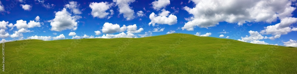 Green grassy field and blue skies with puffy white clouds. Panoramic landscape Green grassy field and blue skies with puffy white clouds. Panoramic landscape