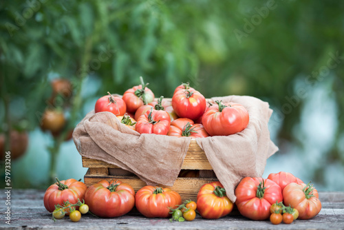 Fresh tomatoes in a wooden crate