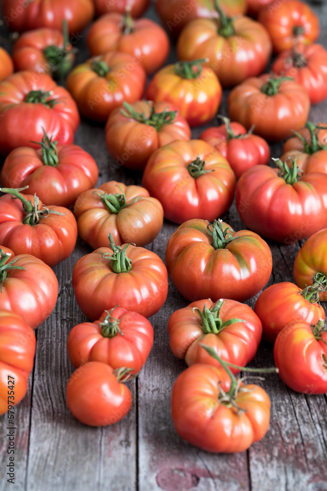 Tomatoes vegetable garden, organic products Tomatoes vegetable garden, organic products