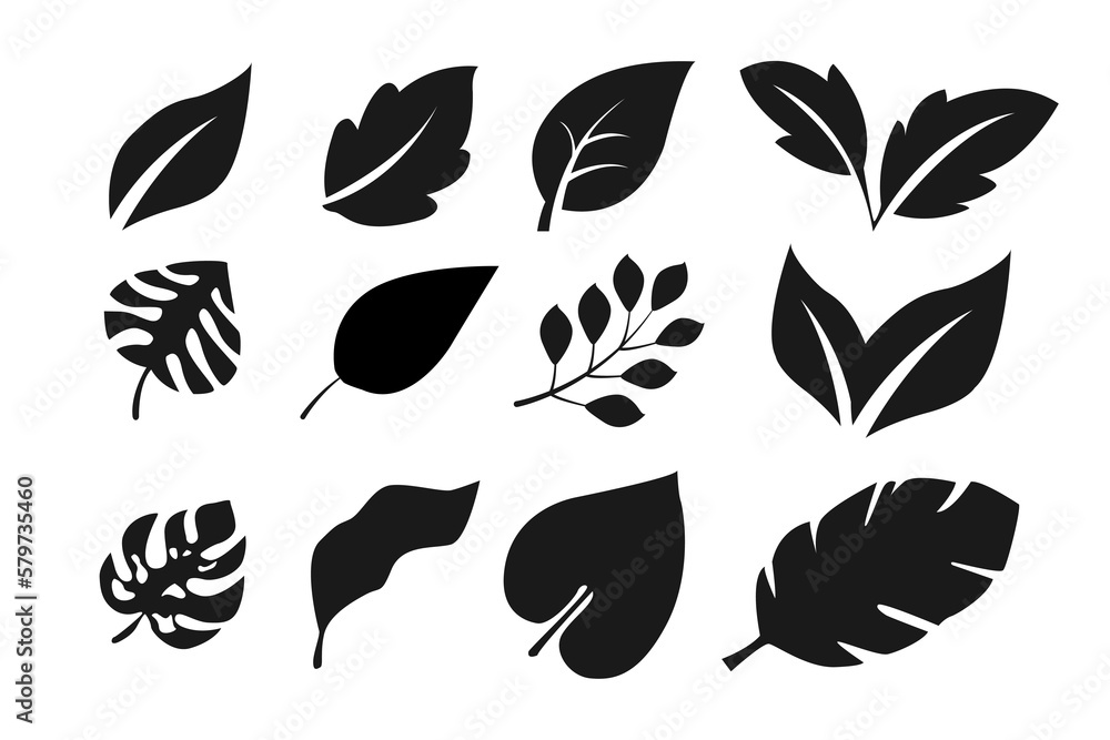 collection of leaf designs in silhouette style on white isolated background. collection of leaf designs in silhouette style on white isolated background.