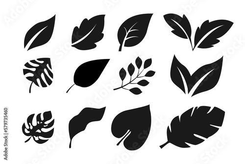 collection of leaf designs in silhouette style on white isolated background.