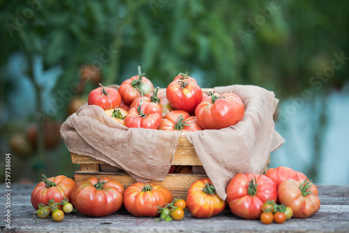 Vegetables  tomatoes on wooden desk