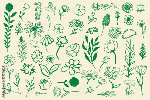 Hand drawn ink various flowers set, vector simple minimalistic line illustration. © uka_uso