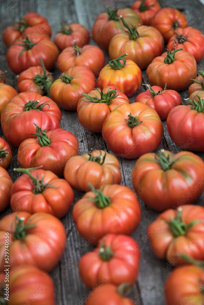 Vegetables, Tomatoes, on desk in garden Vegetables, Tomatoes, on desk in garden