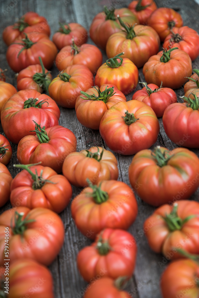 Vegetables, Tomatoes,  on desk in garden