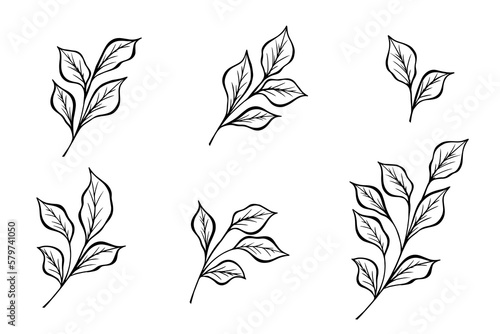 Black silhouette set of hand drawn tree branches with leaves botanical hand drawn. Flat vector illustration