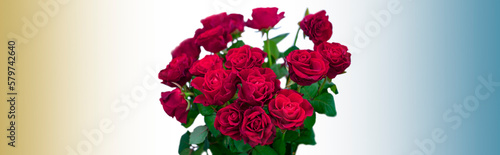 A bouquet of red roses on a white background in the center of the image. Soft gradient colors background for text material.