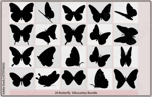 silhouettes of butterflies,butterfly silhouette,Silhouette of a butterfly