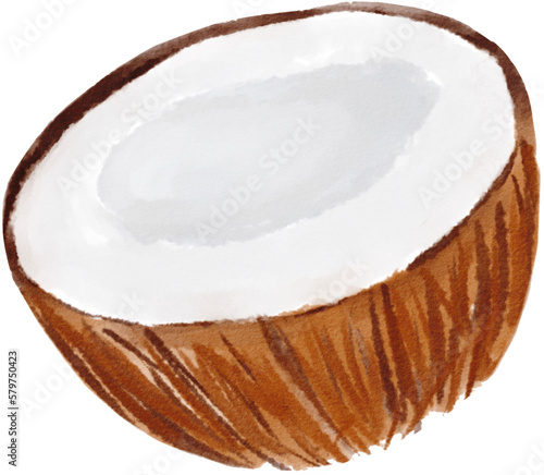 coconut watercolor png