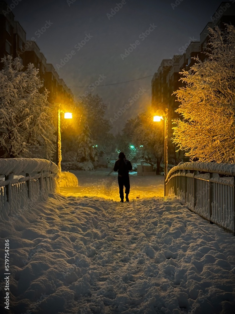 walk in the park walk in the park