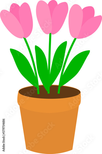 Tulip in pot vector illustration