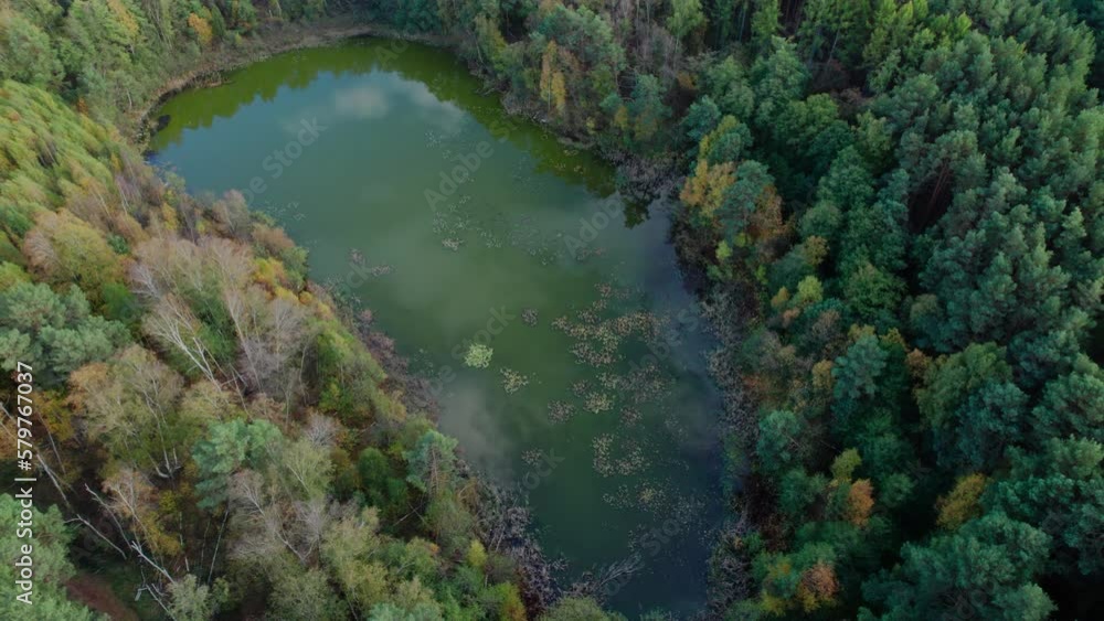 Aerial shot of beautiful lake surrounded by forest in a calm autumn day. Germany. 4K video. Aerial shot of beautiful lake surrounded by forest in a calm autumn day. Germany. 4K video.