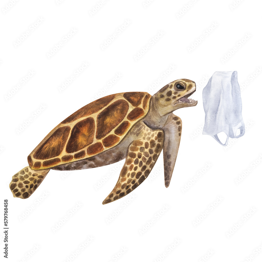 Fototapeta premium Sea turtle hunts eats package instead jellyfish. Hand-drawn watercolor illustration isolated on white background. For ecology posters, save the ocean