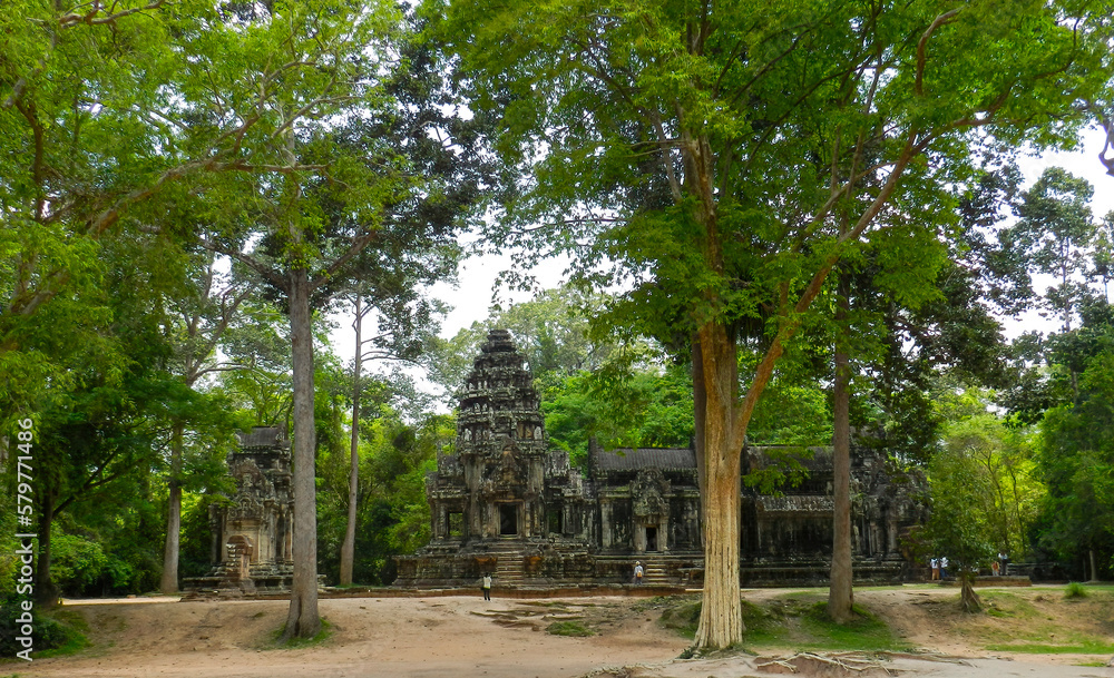 Jungle temple within the Angkor Wat complex Cambodia.