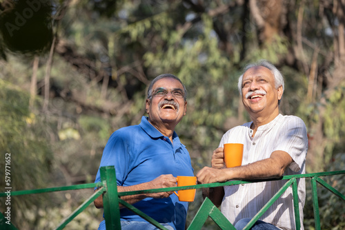 Two senior friends having fun raising a toast with coffee cups at park