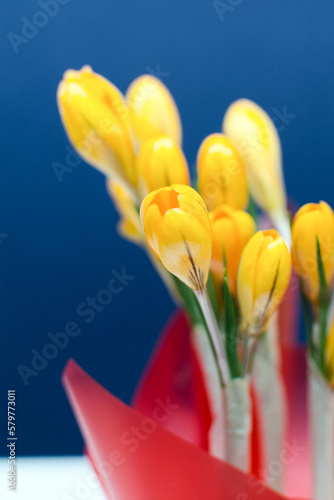 Crocus flowers on the table in the bedroom