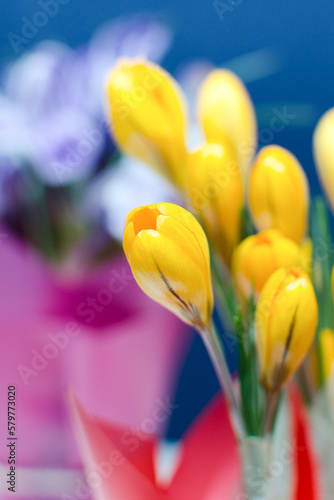 Crocus flowers on the table in the bedroom