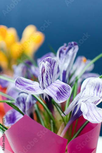 Crocus flowers on the table in the bedroom
