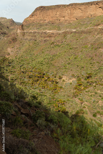 View of deep rocky ravine near the natural fortress site of Ansite in Gran Canaria, Spain