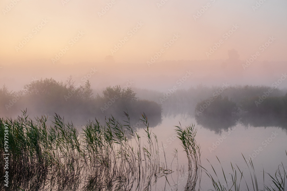 misty morning on the river misty morning on the river