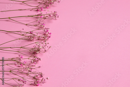 Fototapeta Naklejka Na Ścianę i Meble -  Delicate dry pink flowers. Small flowers. On a pink background. Spring, feminine, cute. Pink background. Flowers. Dried flowers. Empty space. Bouquet.