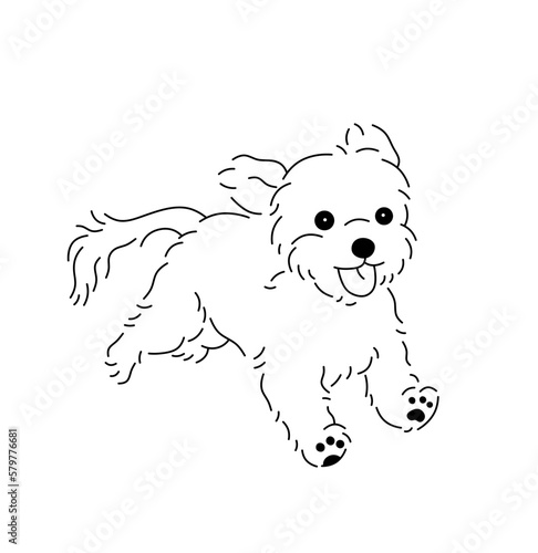 Vector isolated one single cute cartoon fast running shaggy lapdog puppy dog colorless black and white contour line easy drawing

 photo
