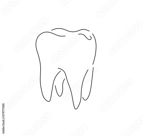 Vector isolated one single big large molar tooth with four roots colorless black and white contour line easy drawing

