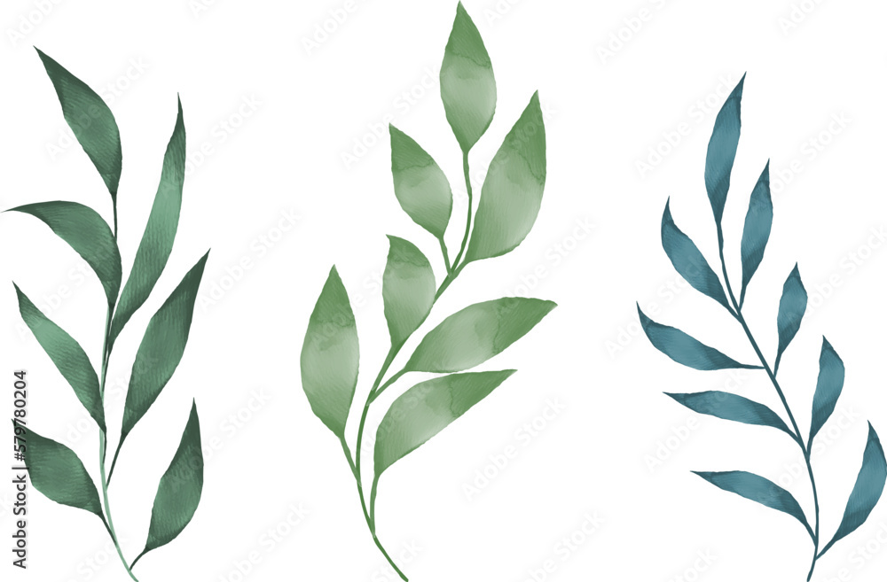 watercolor green leaves on white background