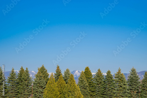 春の山岳地帯と針葉樹 © kikisora