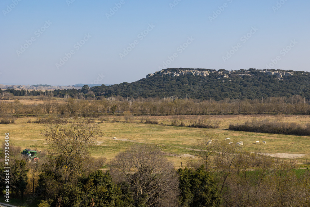 Paysage autour de l'Abbaye de Montmajour, près d'Arles