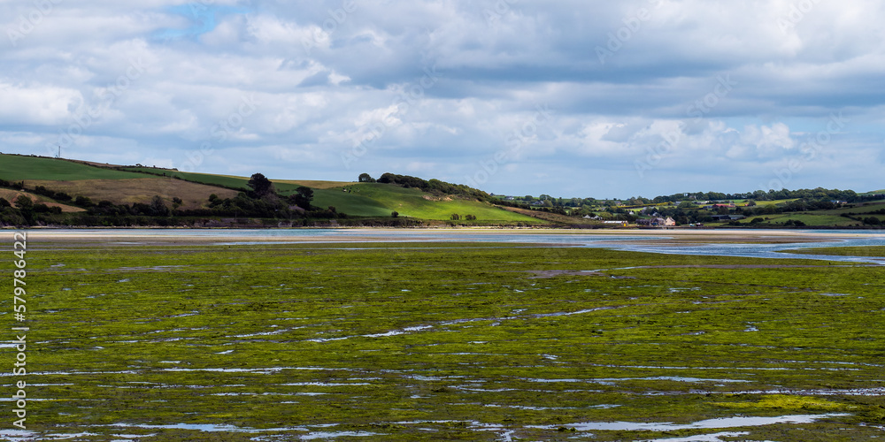 Open seabed after low tide, swamp area. Green hilly landscape. White clouds, sky. The coast of County Cork. Open seabed after low tide, swamp area. Green hilly landscape. White clouds, sky. The coast of County Cork.