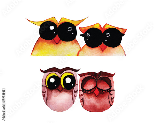 Cute owl watercolour clipart
