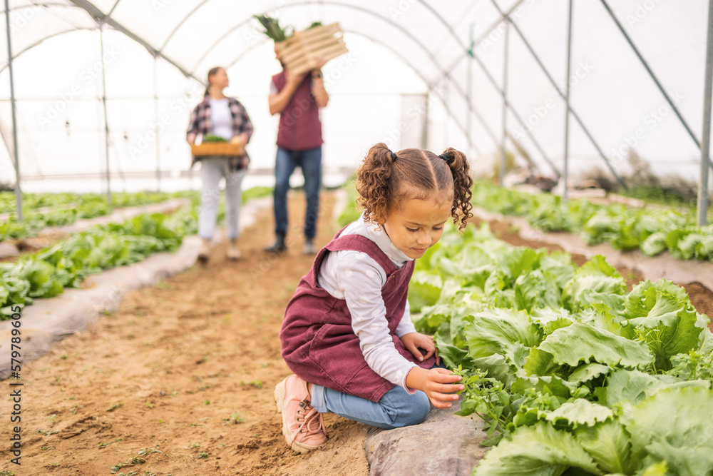 Child, garden and agriculture with little girl helping her farming