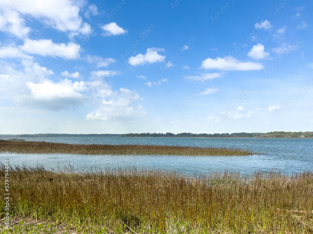 A marshy shore in Beaufort in South Carolina