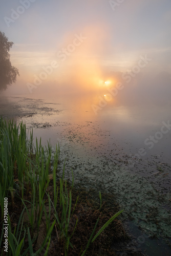 Fototapeta Naklejka Na Ścianę i Meble -  sunrise over the lake