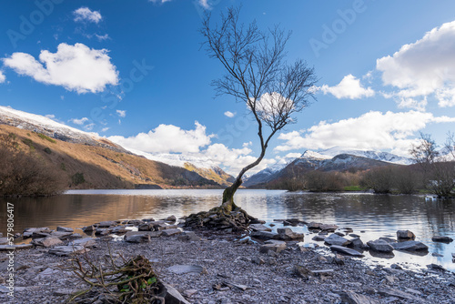 Φωτογραφία Classic shot of lone tree on Llyn Padarn in Llanberis north Wales