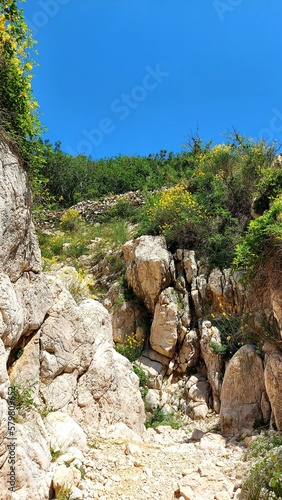 mountain river in the mountains