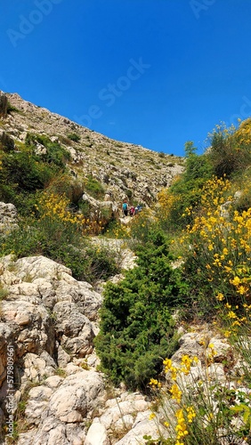 mountain road in the mountains